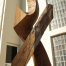 "Občan X", eukalyptus, 2012, 320cm
